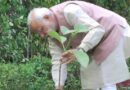 विश्व पर्यावरण दिवस पर पीएम मोदी ने अपने आवास पर लगाया सिंदूर का पौधा