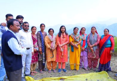 क्रॉप कटिंग प्रयोग में ग्रामीणों के साथ खेत में उतरीं जिलाधिकारी