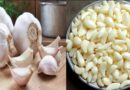सुबह खाली पेट कच्चा लहसुन खाना कितना फायदेमंद? जानें फायदे, नुकसान और सही तरीका