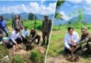 पौधे नहीं, भविष्य की हरियाली तैयार कर रहा एमडीडीए