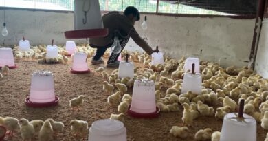 पाबौ का भराड़ी देवी स्वयं सहायता समूह बना मिसाल, गांव में ही रोजगार से आत्मनिर्भर बन रहीं महिलाएं