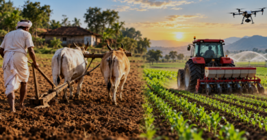 The Evolution of Indian Agriculture: From Traditional Farming to Modern Methods – India Times Group