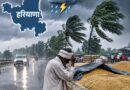 हरियाणा में फिर बदलेगा मौसम, 12 अक्टूबर तक बारिश-तेज हवाओं के आसार; मंडियों में खुले अनाज पर संकट