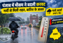 पंजाब में बारिश से बदला मौसम, तापमान में गिरावट; अगले दो दिन बारिश और तेज हवाओं का यलो अलर्ट